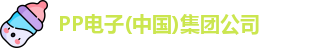PP电子